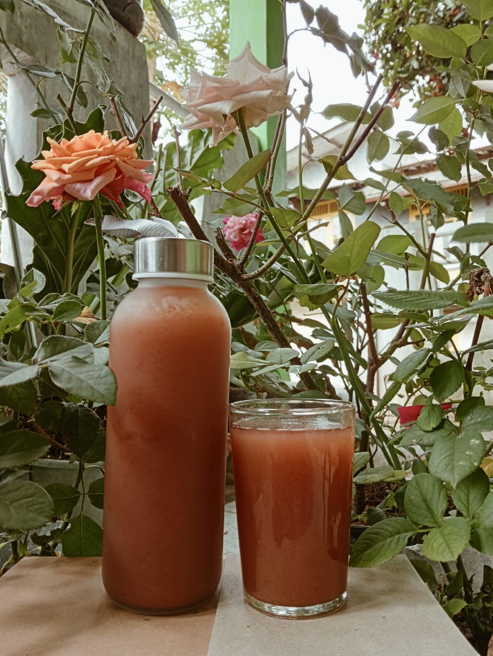 Mangrovita — Mangrove Fruit Juice